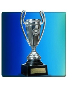 Coppa trofeo argentata 24cm con manici e base nera per premiazioni