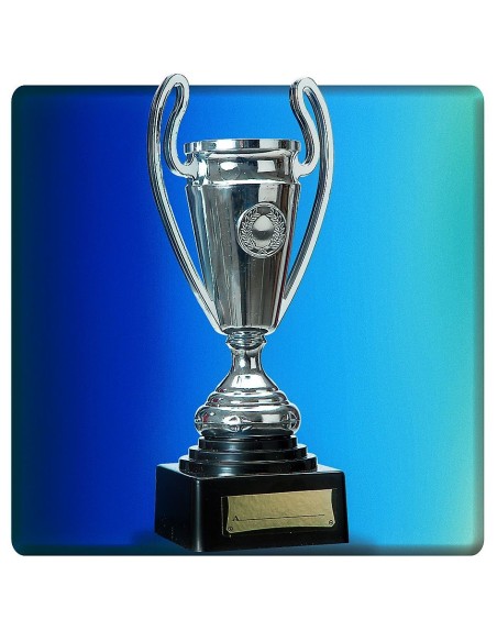 Coppa trofeo argentata 24cm con manici e base nera per premiazioni