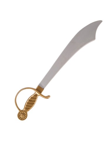 Sciabola decorativa con lama argentata ed elsa dorata ornamentale per costumi storici e da pirata