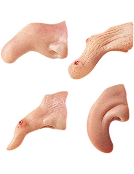 Nasi da strega in lattice assortiti con verruche per costumi Halloween horror