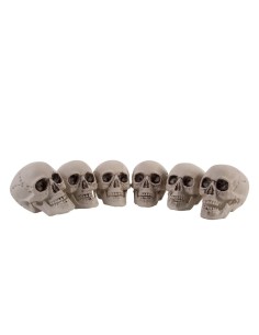 Set 6 teschi decorativi in plastica beige altezza 7 cm per Halloween e decorazioni horror macabre