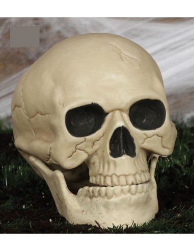 Teschio decorativo 20cm beige con dettagli anatomici realistici per Halloween e decorazioni horror