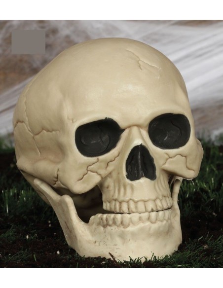 Teschio decorativo 20cm beige con dettagli anatomici realistici per Halloween e decorazioni horror