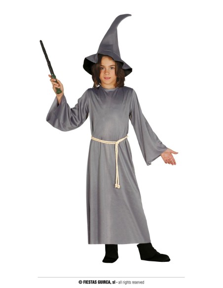 Bambino con costume da stregone grigio completo di tunica, cappello a punta e bacchetta magica