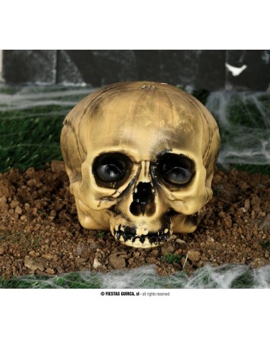 Teschio decorativo beige senza mandibola 20 cm su terreno per decorazioni Halloween horror spaventose