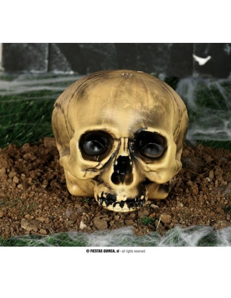Teschio decorativo beige senza mandibola 20 cm su terreno per decorazioni Halloween horror spaventose