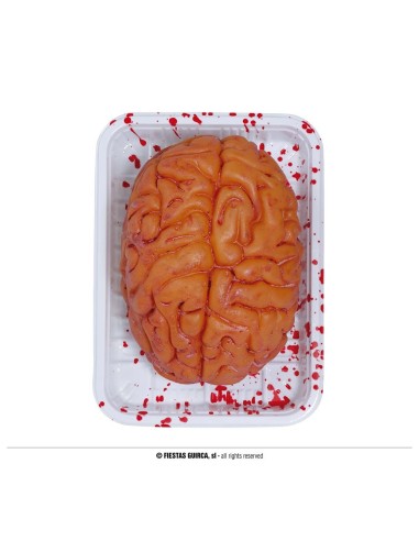 Vassoio con cervello finto realistico e macchie di sangue per accessori Halloween horror