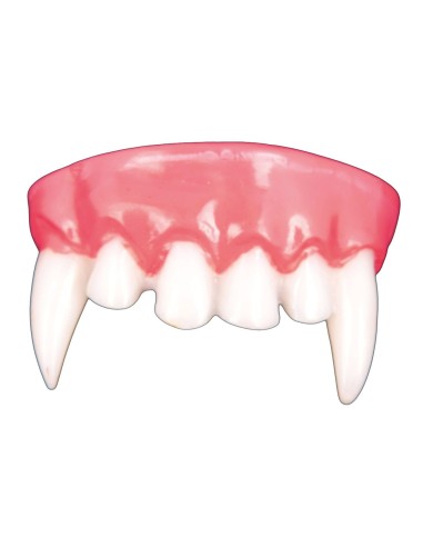 Dentiera vampiro con canini affilati e gengive rosa per costume Halloween horror