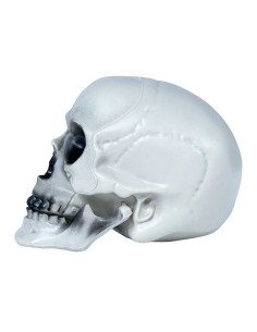 Teschio decorativo in PVC grigio-bianco 20 cm con orbite profonde e dentatura completa per Halloween 2