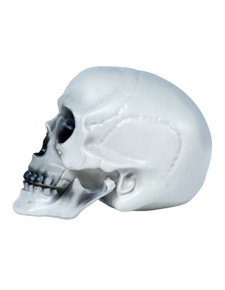 Teschio decorativo in PVC grigio-bianco 20 cm con orbite profonde e dentatura completa per Halloween