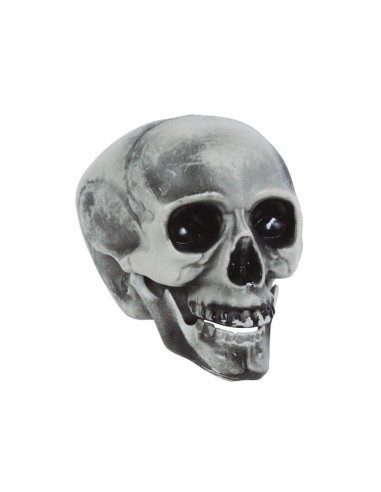 Teschio decorativo in PVC grigio-bianco 20 cm con orbite profonde e dentatura completa per Halloween