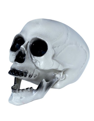 Teschio decorativo in PVC grigio-bianco 20 cm con orbite profonde e dentatura completa per Halloween