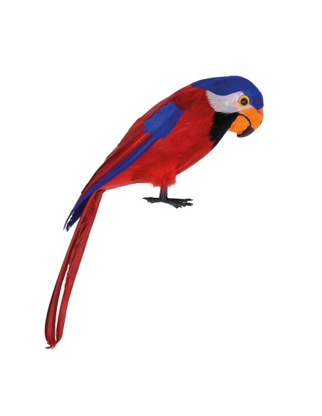 Pappagallo tropicale con piume rosse blu bianche 40cm accessorio costume pirata corsaro