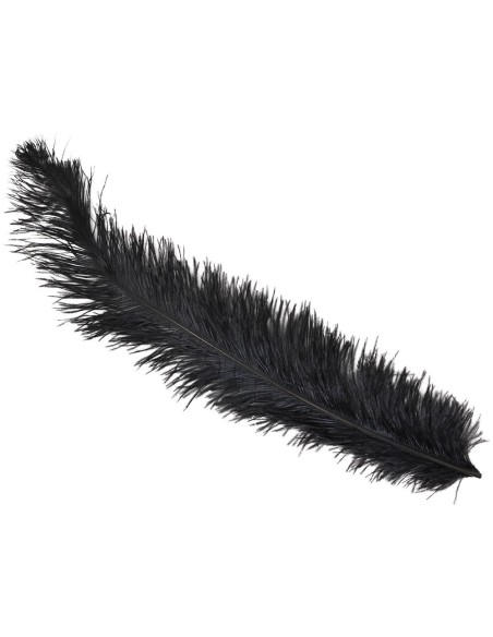 PIUMA DI STRUZZO NERA 60 CM.