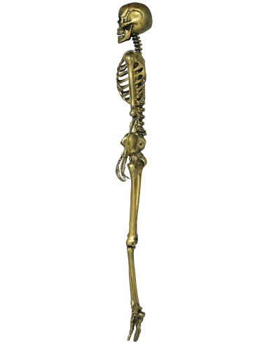 Scheletro decorativo dorato 160 cm con dettagli anatomici per decorazioni Halloween horror