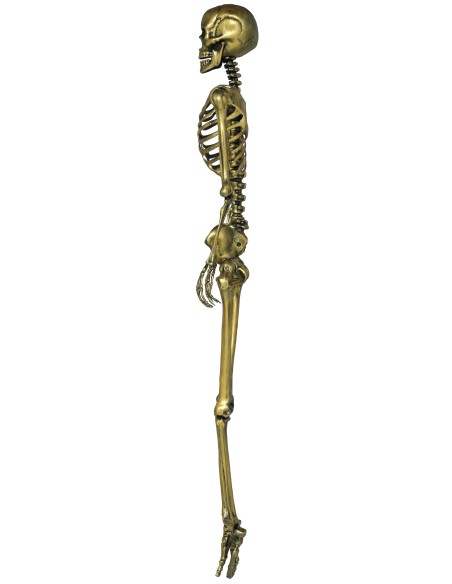 Scheletro decorativo dorato 160 cm con dettagli anatomici per decorazioni Halloween horror