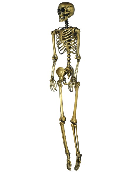 Scheletro decorativo dorato 160 cm con dettagli anatomici per decorazioni Halloween horror