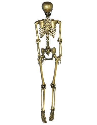 Scheletro decorativo dorato 160 cm con dettagli anatomici per decorazioni Halloween horror
