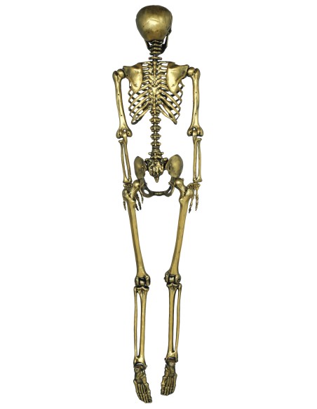 Scheletro decorativo dorato 160 cm con dettagli anatomici per decorazioni Halloween horror