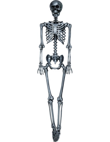 Scheletro decorativo argento 160 cm con teschio e ossa articolate per Halloween