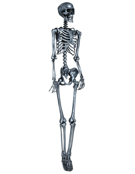 Scheletro decorativo argento 160 cm con teschio e ossa articolate per Halloween