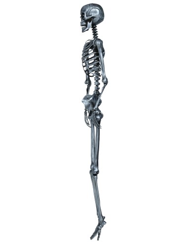 Scheletro decorativo argento 160 cm con teschio e ossa articolate per Halloween