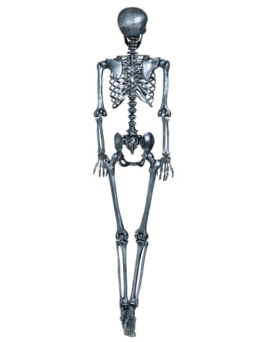 Scheletro decorativo argento 160 cm con teschio e ossa articolate per Halloween
