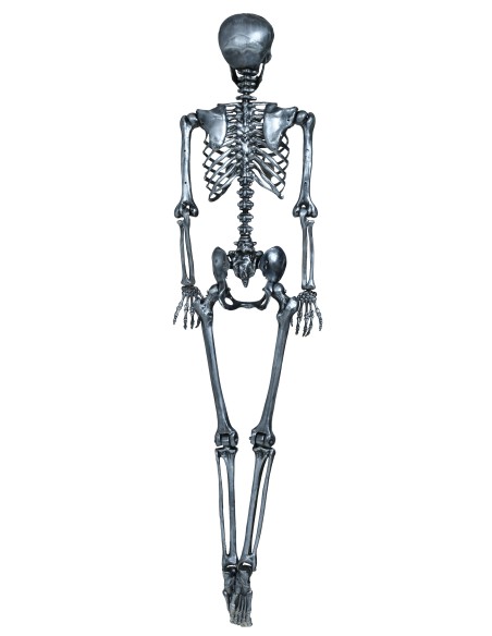 Scheletro decorativo argento 160 cm con teschio e ossa articolate per Halloween