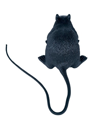 Ratto nero in lattice realistico con coda lunga accessorio Halloween horror