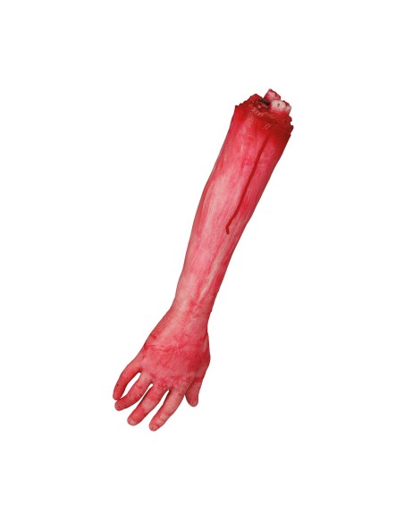Braccio finto insanguinato 35 cm decorazione horror Halloween con macchie di sangue realistiche