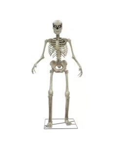 Scheletro gigante 250 cm con base supporto decorazione Halloween animata con suoni movimenti