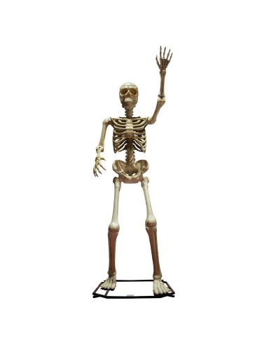 Scheletro gigante 335cm decorazione Halloween con base di supporto per allestimenti horror