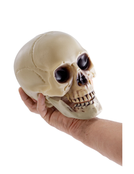 Teschio con mandibola mobile 18cm