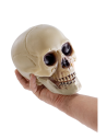 Teschio con mandibola mobile 18cm