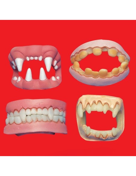 DENTIERA DOPPIA 4 MODELLI ASSORTITI IN BLISTER Prezzo 2,30 €