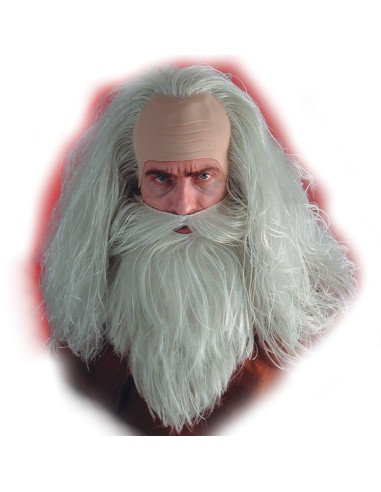 PARRUCCA MAGO con barba Prezzo 17,20 €