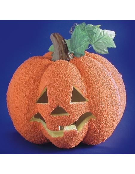 ZUCCA RUGOSA con LUCE CM.23 (BATTERIE INCLUSE) Prezzo 17,60 €