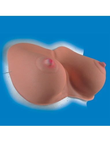 SENO CON ELASTICI IN PLASTICA Prezzo 2,20 €