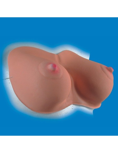 SENO CON ELASTICI IN PLASTICA Prezzo 2,20 €