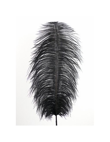 PIUMA DI STRUZZO NERA 60 CM. Prezzo 4,40 €
