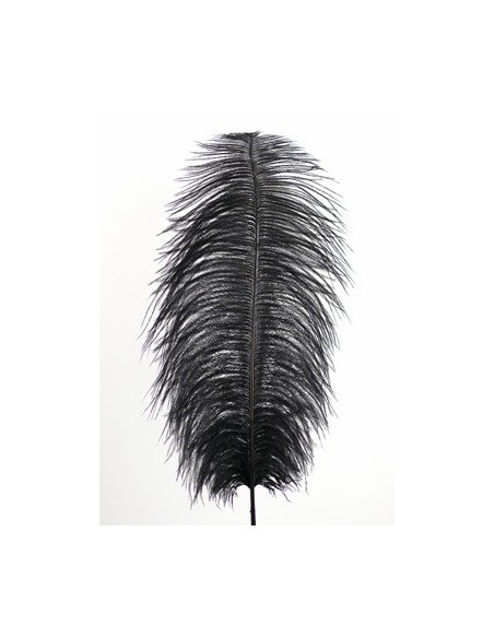 PIUMA DI STRUZZO NERA 60 CM. Prezzo 4,40 €