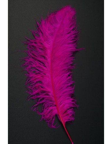 PIUMA DI STRUZZO FUCSIA 60 CM. Prezzo 4,40 €