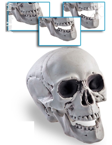 Teschio scheletro grigio con mandibola mobile decorazione Halloween horror