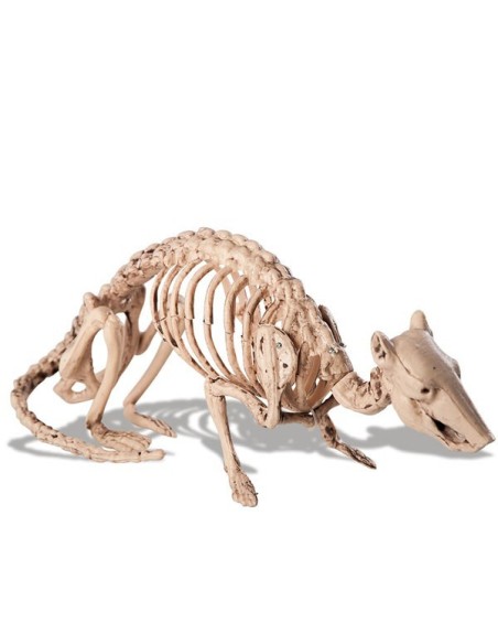 Scheletro decorativo di topo in posizione naturale per decorazioni Halloween horror