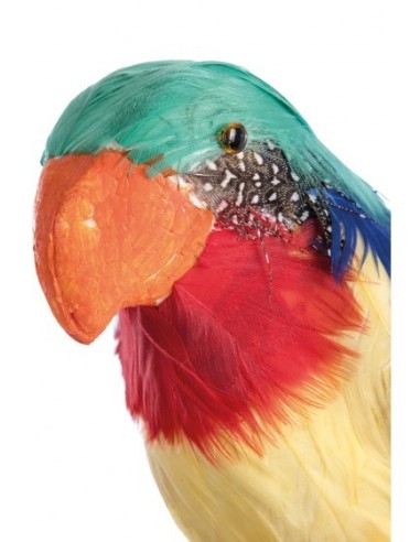 PAPPAGALLO PIRATA DA SPALLA Prezzo 6,30 €