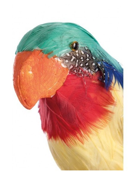PAPPAGALLO PIRATA DA SPALLA Prezzo 6,30 €